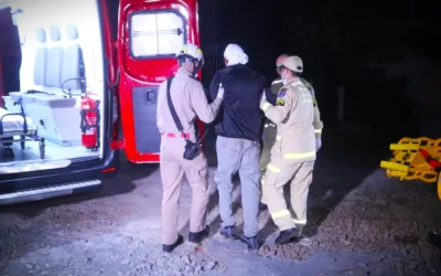 Resgate Inusitado: Bombeiros Atendem Atropelamento e Encontram Cena Surpreendente