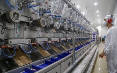 Paraná Colhe Bons Frutos no Mercado de Trabalho: Geração de Empregos Aquece Economia em Mais de 300 Municípios