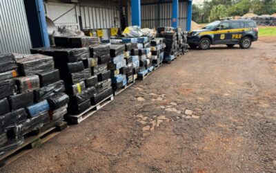 PRF apreende quase 7,5 toneladas de maconha e skunk escondidas em carga de soja