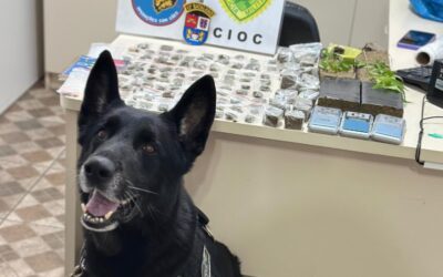 Com auxílio de cão farejador, CIOC localiza drogas escondidas em vegetação no Caximba; duas pessoas são presas