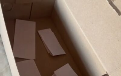 Recurso de Zeca Dirceu não chegou ao COE?