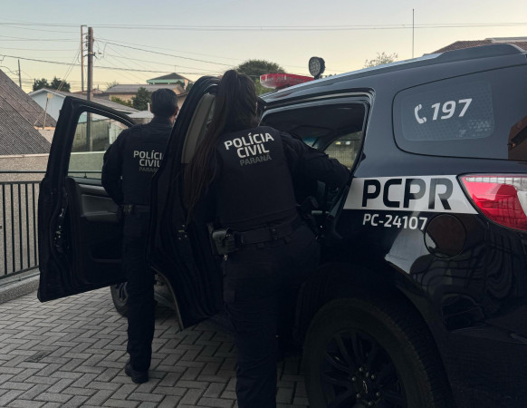 PCPR indicia homem por atropelar três cães em Piraquara
