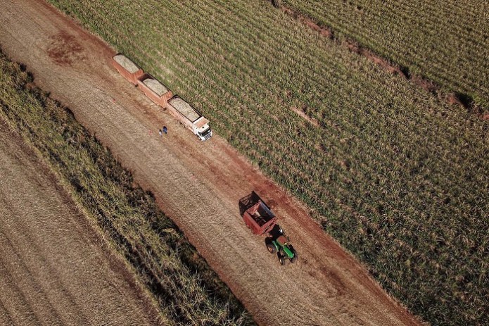 Atividade econômica do Paraná é uma das que mais cresce no Brasil