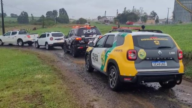 PCPR, PMPR e IAT prendem mulher por tráfico de animais e uso de documentos falsos em Guarapuava
