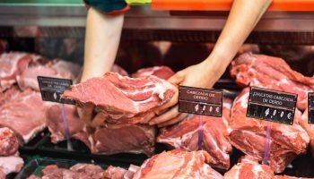 Foto: Terra Brasil Notícias