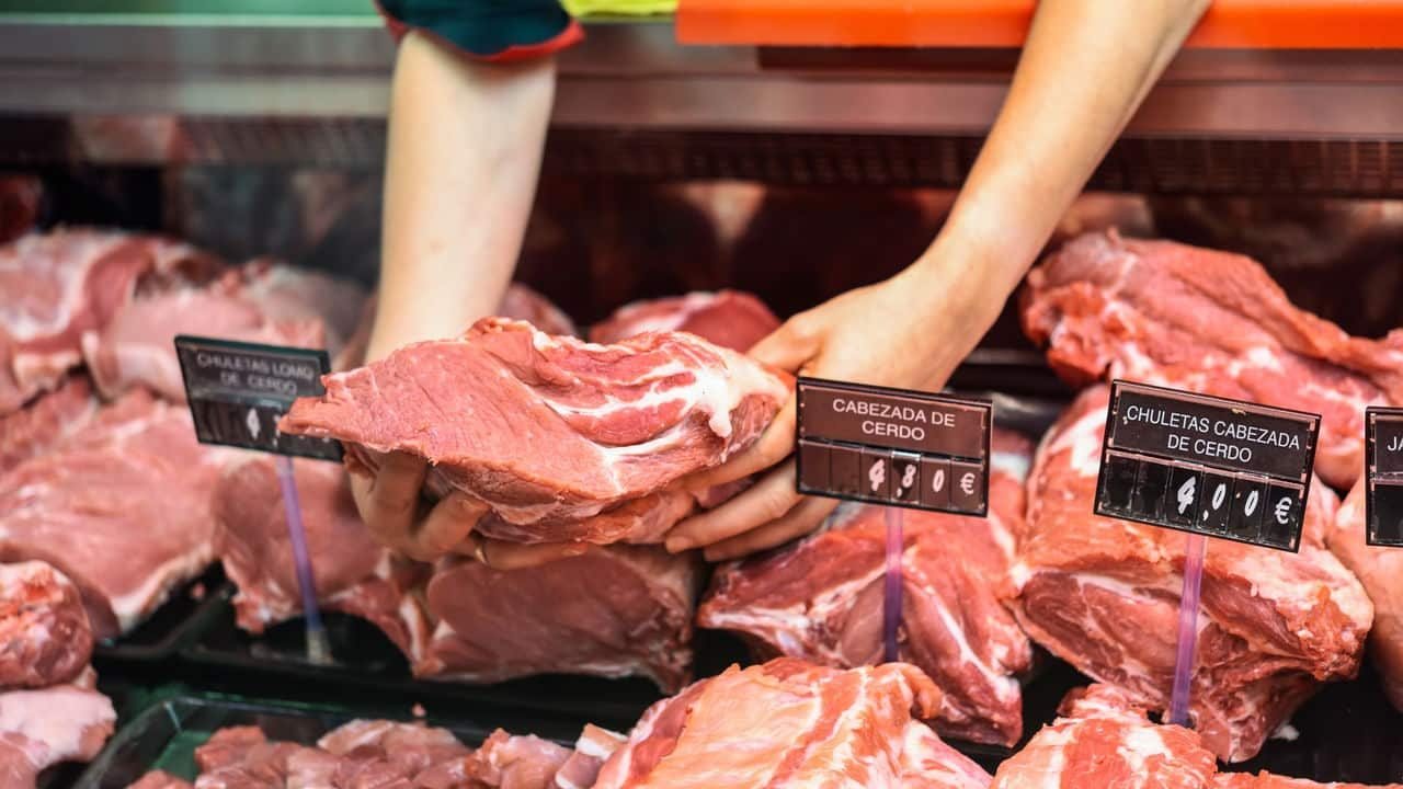 Foto: Terra Brasil Notícias