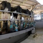 Foto: Governo do Paraná