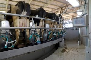 Foto: Governo do Paraná