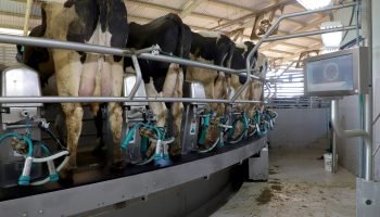 Foto: Governo do Paraná