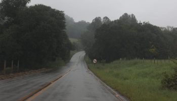 Foto: Governo do Paraná