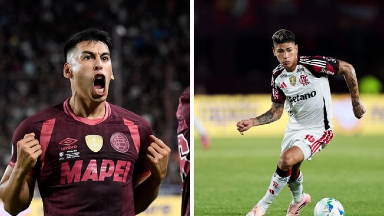 08olq8zdmxnmnq7tsv6nl0rw7