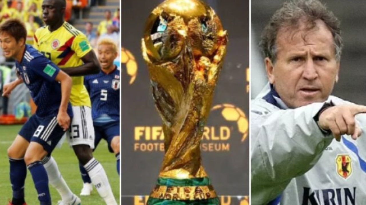 0c357qs1rajzr8zbf96o68byh