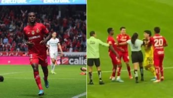 0qt2r1dwp2xy7to41r2flg8ty