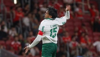 Palmeiras vence Internacional e assume a liderança do Brasil — Foto: FÁBIO MENOT