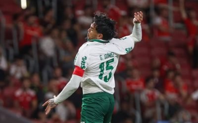 Palmeiras vence Internacional e assume a liderança do Brasil — Foto: FÁBIO MENOT