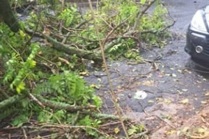 Foto: Crédito de imagem sugerido