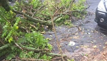 Foto: Crédito de imagem sugerido