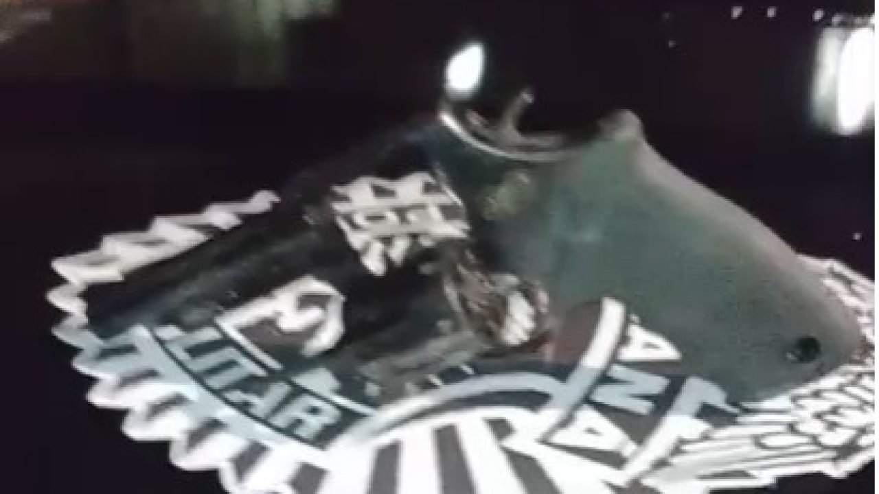 Foto: Foto: Divulgação