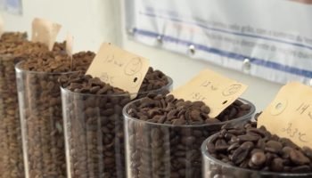 1777220299168_cafe