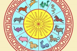 1781237099_Horoscopo-Chines-9633.jpg