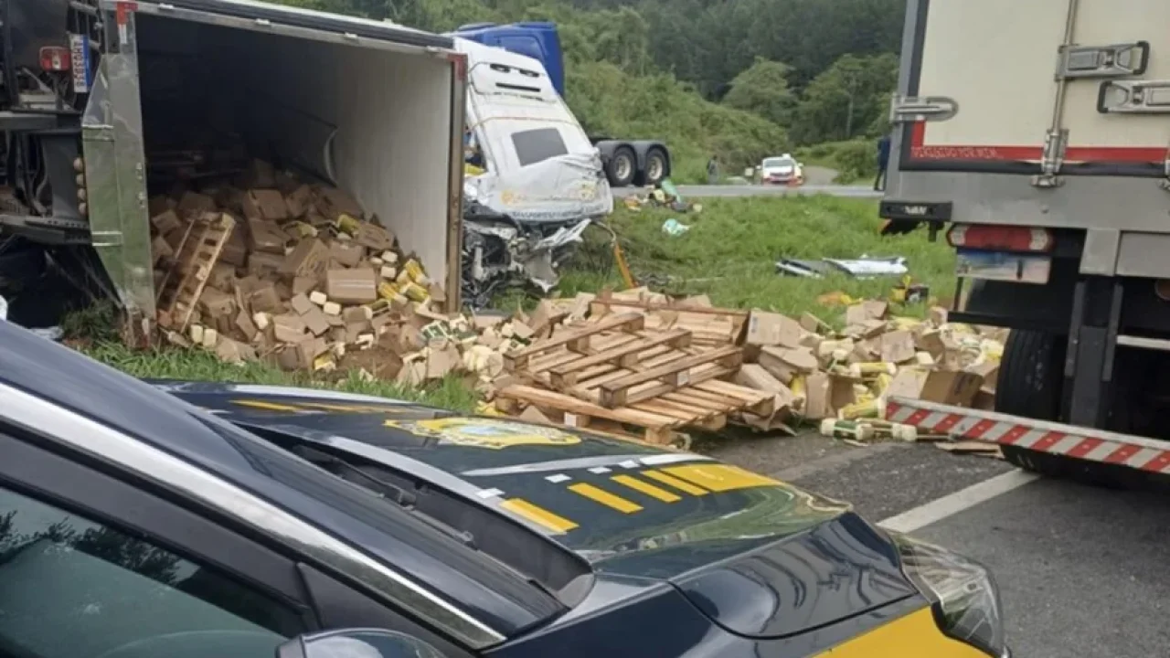 Foto: Entenda os detalhes do acidente que resultou em seis mortes na BR-116 e a