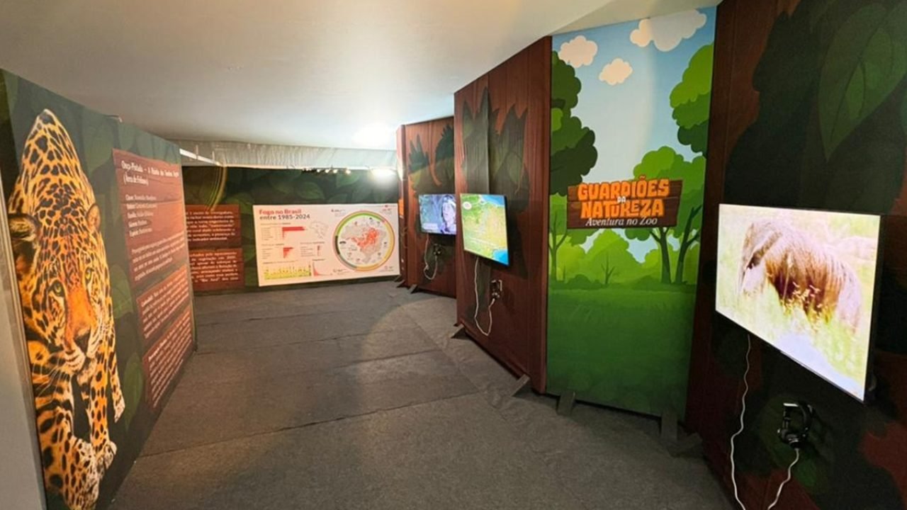 1cf0c6b6-zoo-ferias-animadas