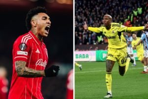 1pkgdz8cencdbhn0rf3lfiyvl