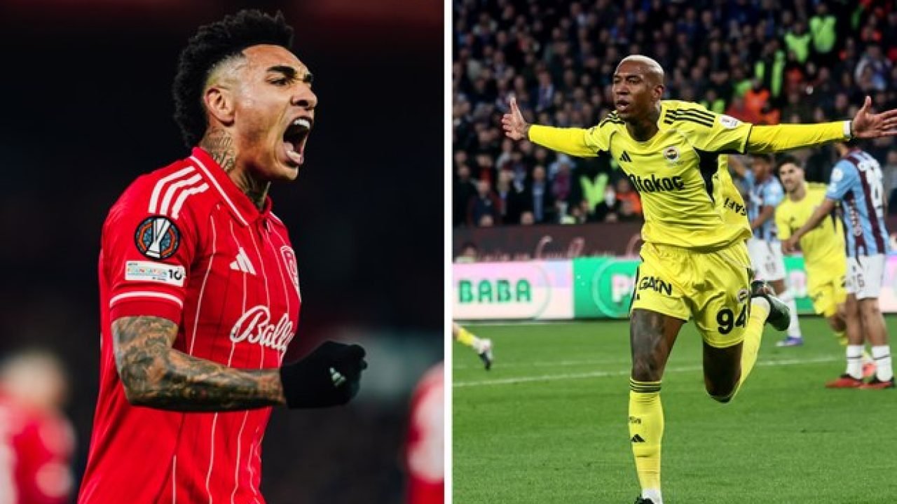 1pkgdz8cencdbhn0rf3lfiyvl