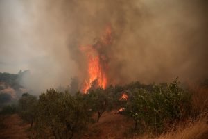 2026-08-02t122542z-1079465398-rc2cqmaxn03u-rtrmadp-3-europe-weather-greece-wildfires