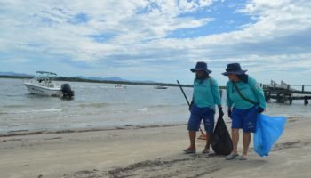 Trabalhadores da Sanepar realizam limpeza na Ilha das Peças — Foto: Governo do P