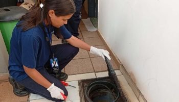 Foto: Governo do Paraná