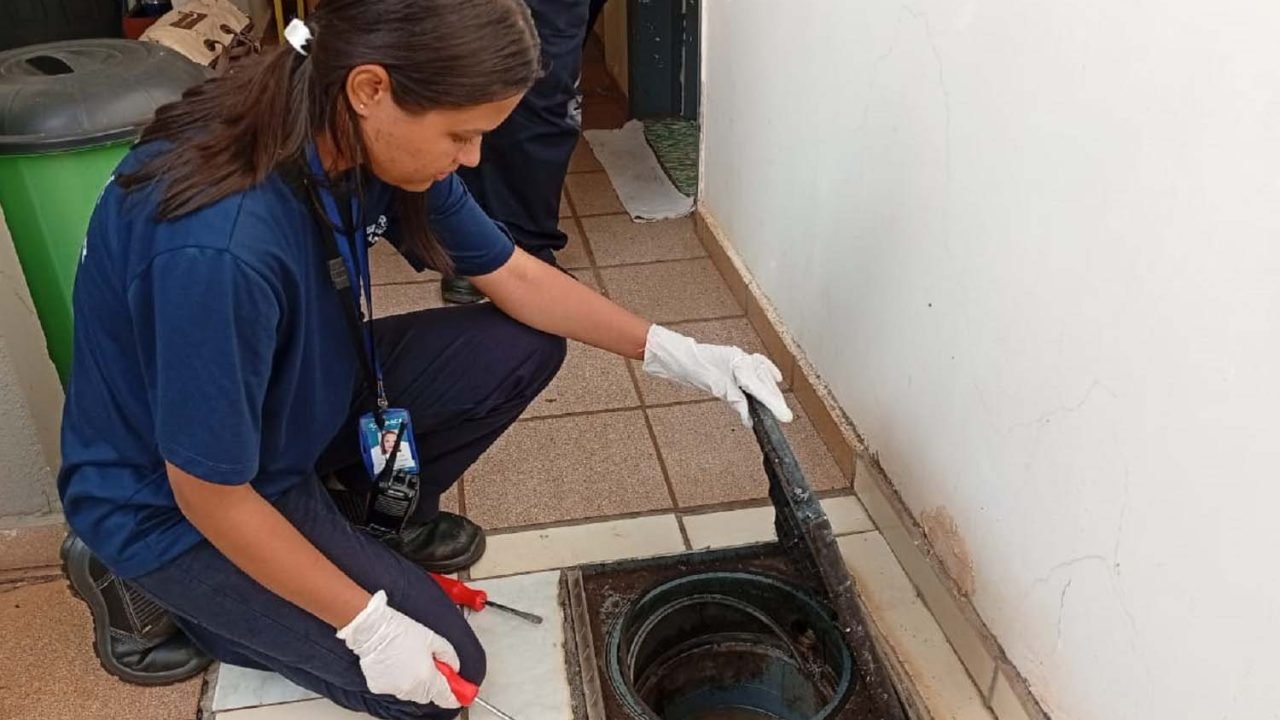 Foto: Governo do Paraná