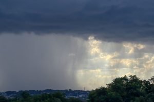 Foto: Foto: Roberto Dziura Jr/AEN