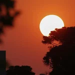 Foto: livia-berbel-reporter