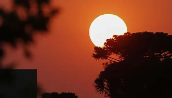 Foto: livia-berbel-reporter