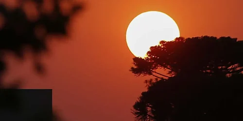 Foto: livia-berbel-reporter