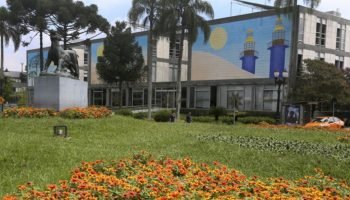 Os candidatos serão classificados de acordo com a formação e experiência profiss