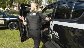 Polícia Civil prende segundo suspeito de ataque em Prudentópolis — Foto: Governo