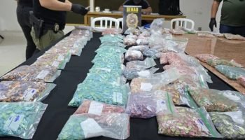 230326-apreensao-senad-2-1024x557-1