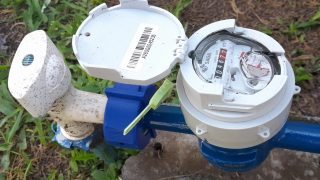 Foto: Governo do Paraná