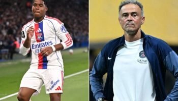 3l7qn49xaj8a0tno666zpqvg7