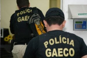 4054657117-gaeco-reproducao