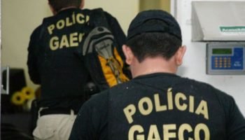 4054657117-gaeco-reproducao
