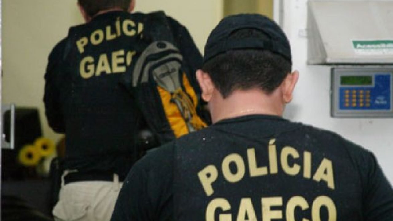 4054657117-gaeco-reproducao