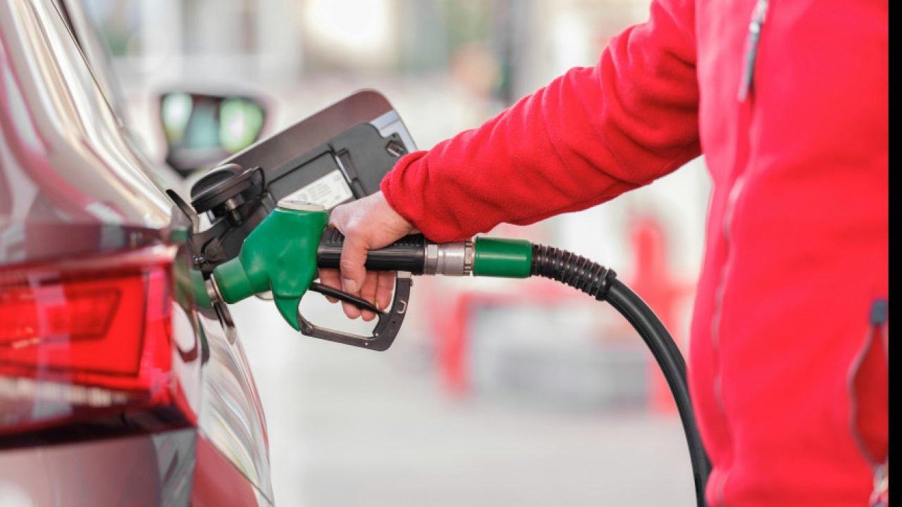 40iQcNTg3mMWv4yRL6WrR37KPCuS0nldB11e84iv