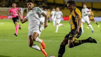 4p9akd7wnicz884ad1pg6j9yr