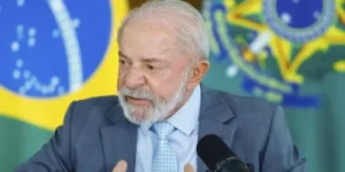 55207793165_196a4f9413_o-300x225-1