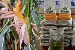 5B1771009493_jsfpc5D