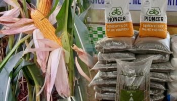 5B1771009493_jsfpc5D