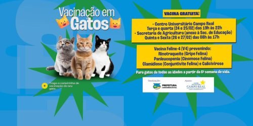 5B1772046333_hnkph5D